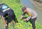 Polsek-Tanggulangin-Dukung-Ketahanan-Pangan-Program-Asta-Cita-Presiden,-Tanam-Kangkung-di-Pesisir-Sungai